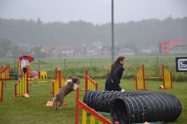 Agility-2 - foto