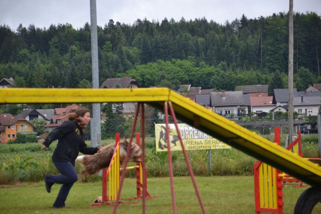 Agility-2 - foto