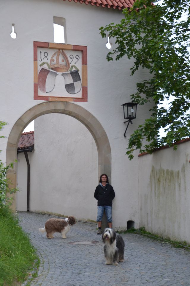 Alsfeld 2012 - foto povečava