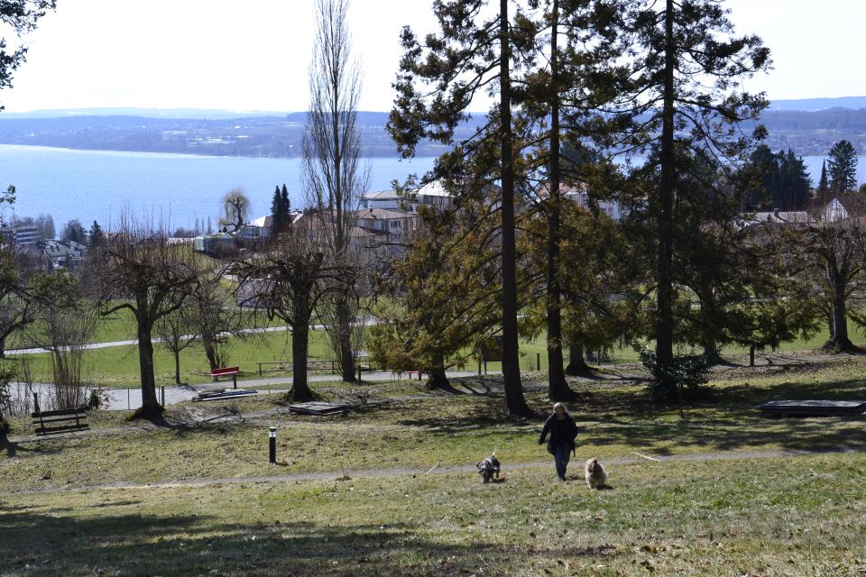 Potovanje do Lorrach  - foto povečava