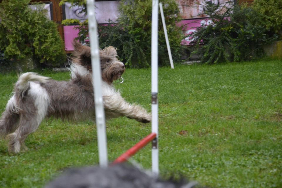 Jesensko srečanje 2013 - foto povečava