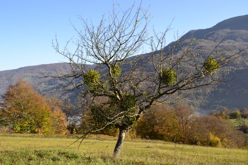 Potovanje po BIH in Hrvaški - foto povečava