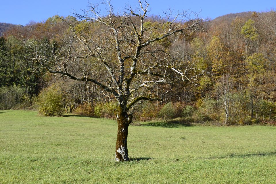 Potovanje po BIH in Hrvaški - foto povečava