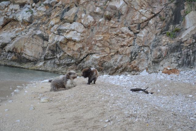 Potovanje po BIH in Hrvaški - foto