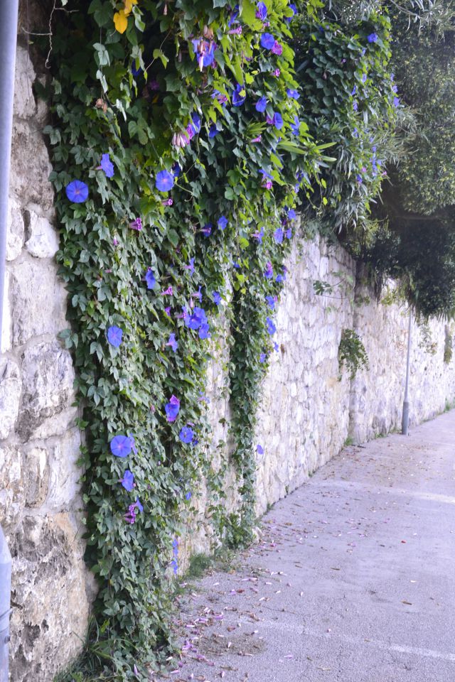 Potovanje po BIH in Hrvaški - foto povečava