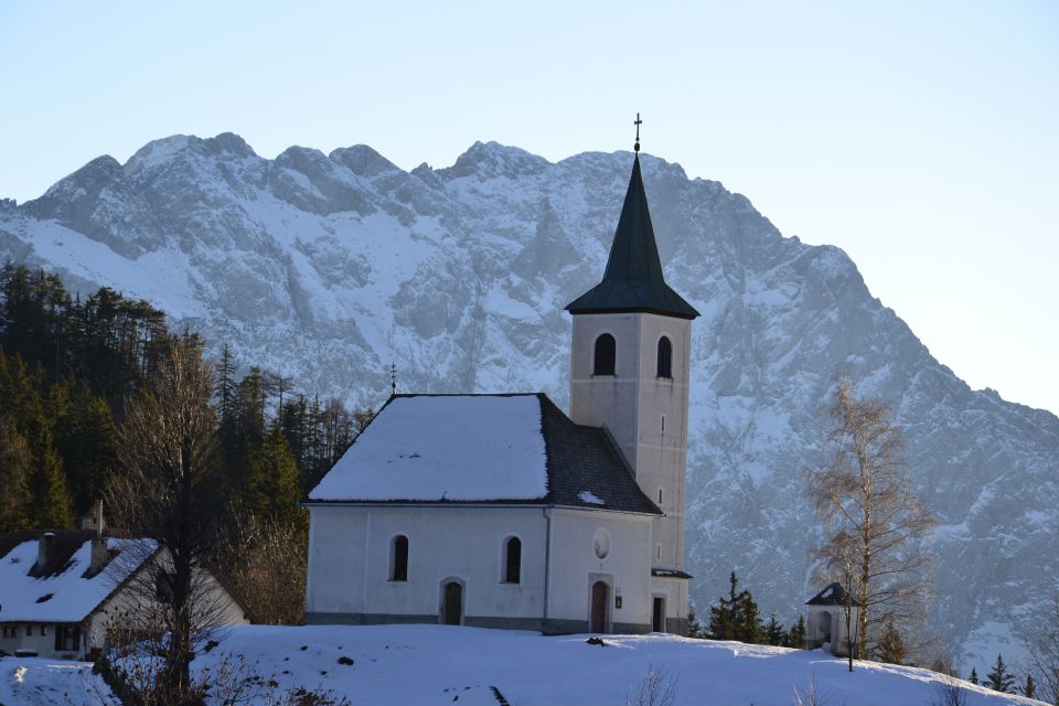 Zima 2013/2014 - foto povečava