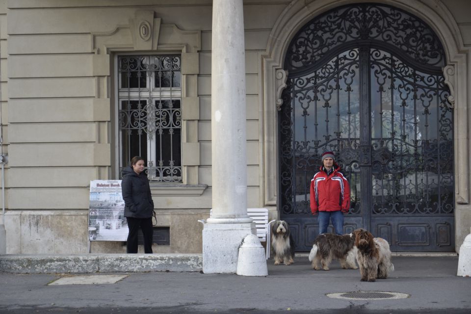 Zima 2013/2014 - foto povečava