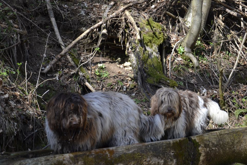 Pomlad in poletje 2014 - foto povečava