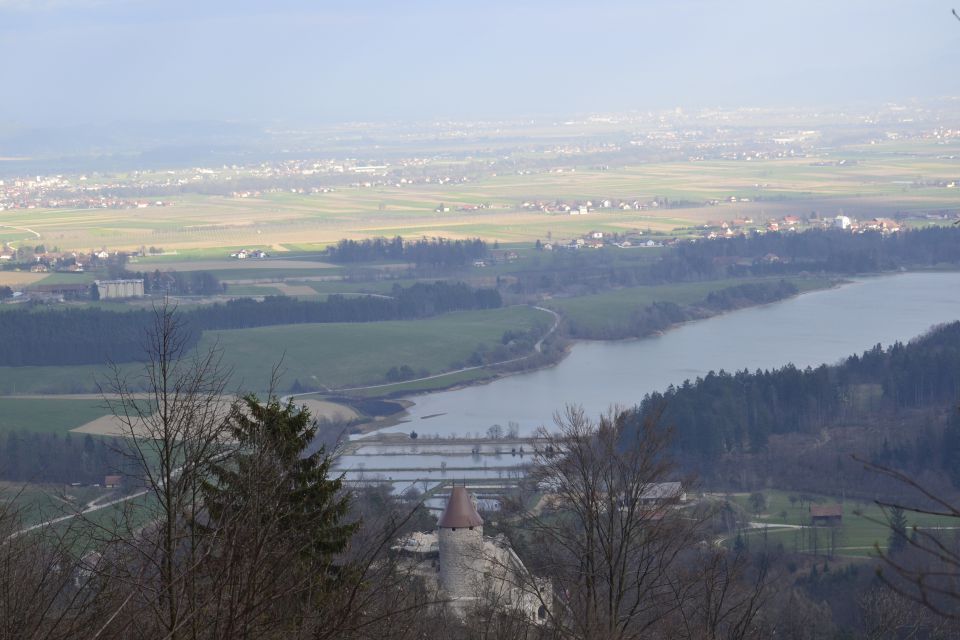 Pomlad in poletje 2014 - foto povečava