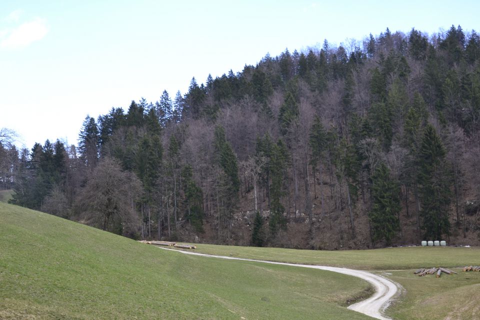 Pomlad in poletje 2014 - foto povečava