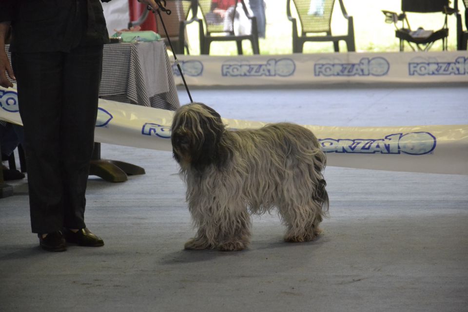 ITALIJA - foto povečava