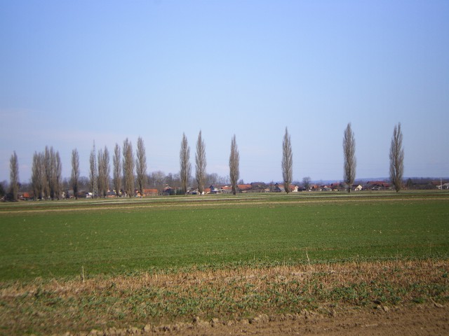 Razno - foto