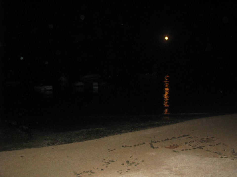 Lošinj 2011 - foto povečava