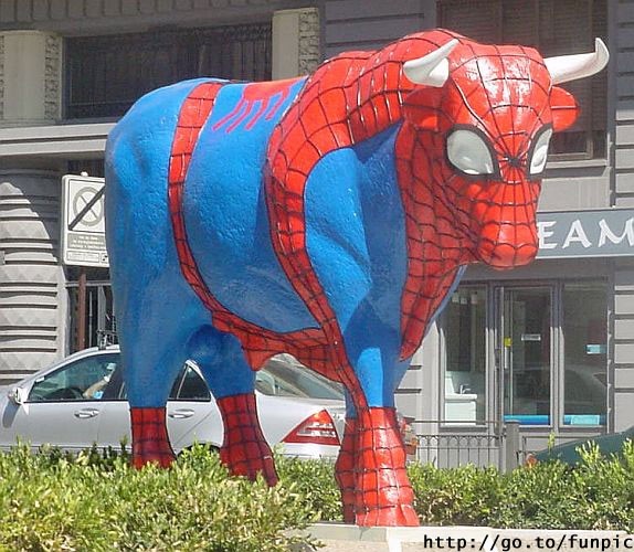 Spider bull