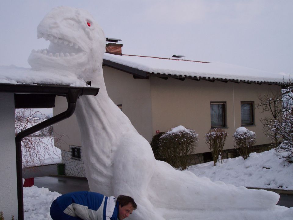 Zima 2010 - foto povečava