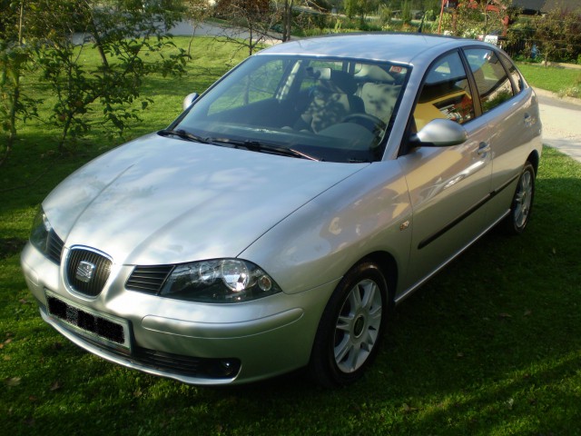 Seat Ibiza Poliranje - foto