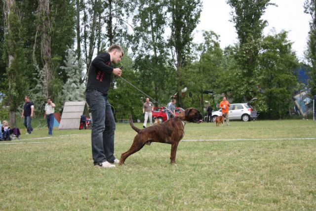 Mađarska 8.5.2010 - foto