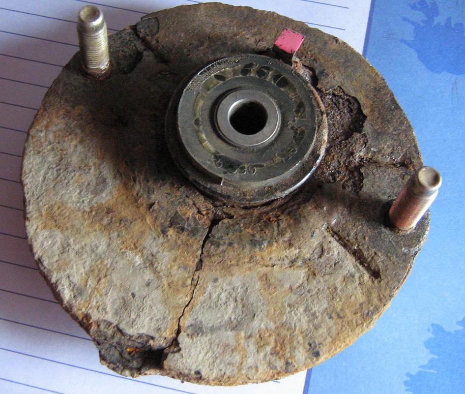 šalčka - foto povečava