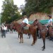 Oglarska dežela 2009 - konjeniki (Mirna peč)