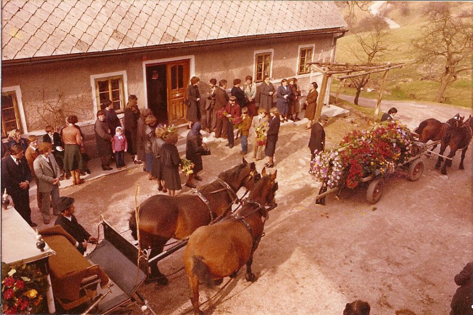 1981 pogreb