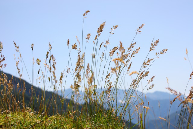 Moje slike - foto