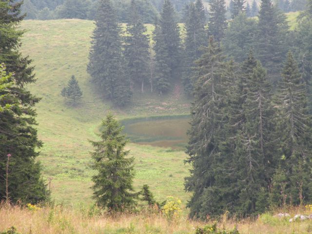 Menina planina - foto