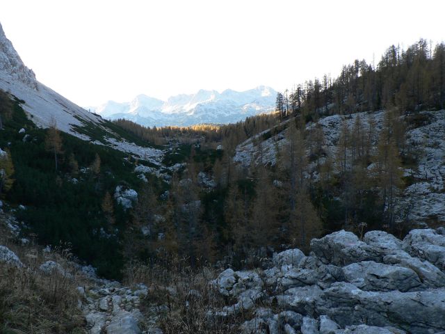 Kanjavec(2569m) - foto