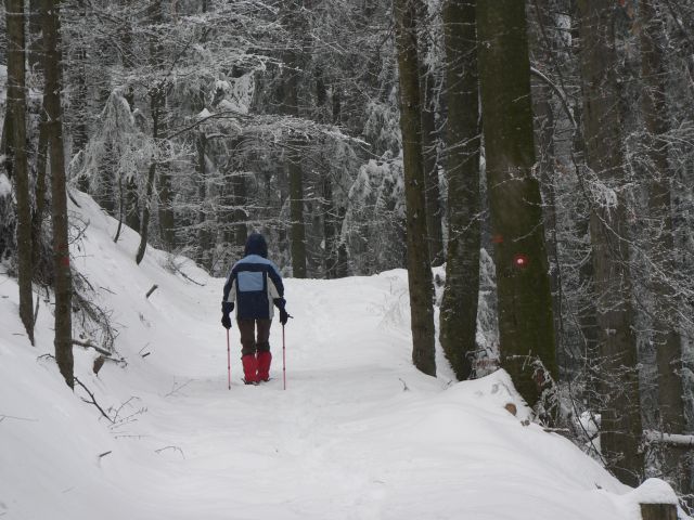 Črni vrh-Ribniška koča - foto