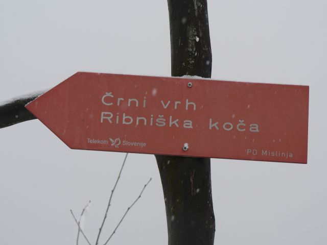 Črni vrh-Ribniška koča - foto