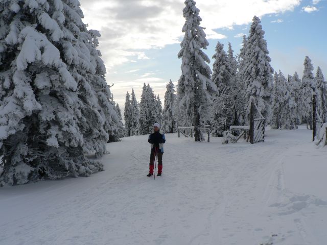 Črni vrh-Ribniška koča - foto