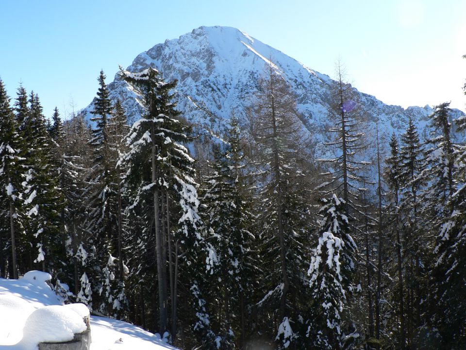 Kepa - foto povečava