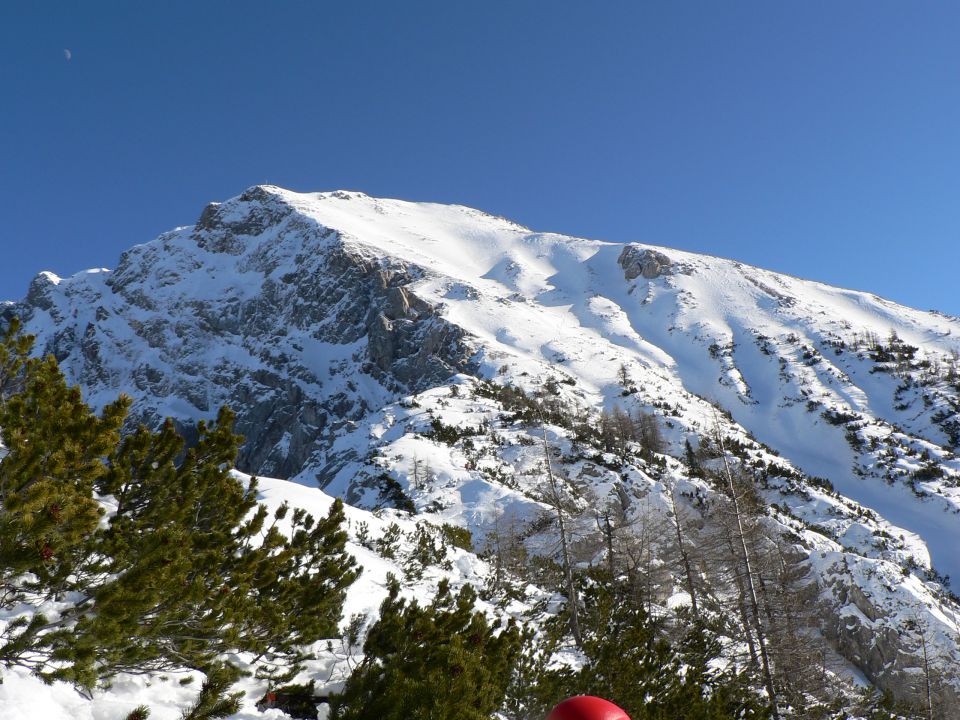 Kepa - foto povečava