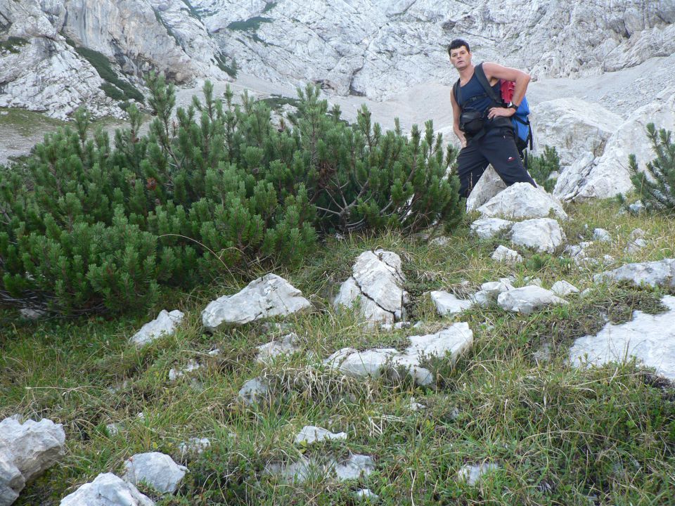 Krnička gora - foto povečava