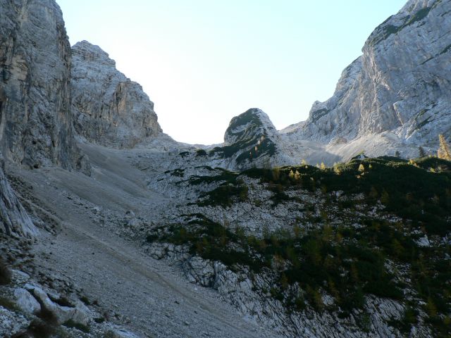 Požgana mlinarica - foto