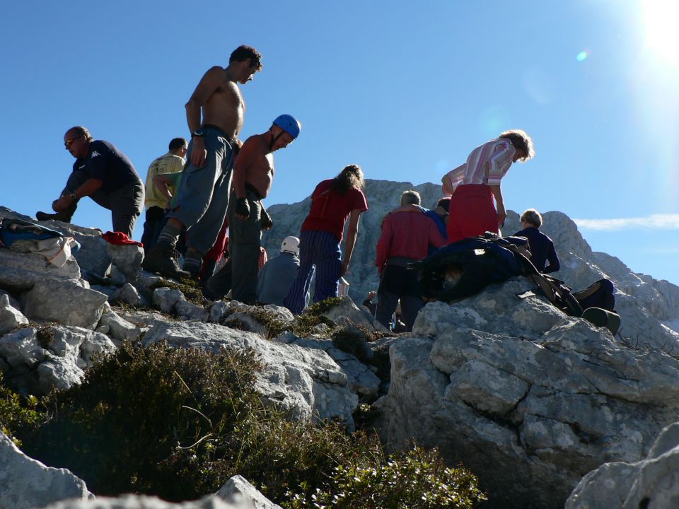 Požgana mlinarica - foto povečava