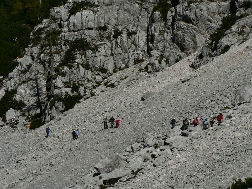 Požgana mlinarica - foto povečava