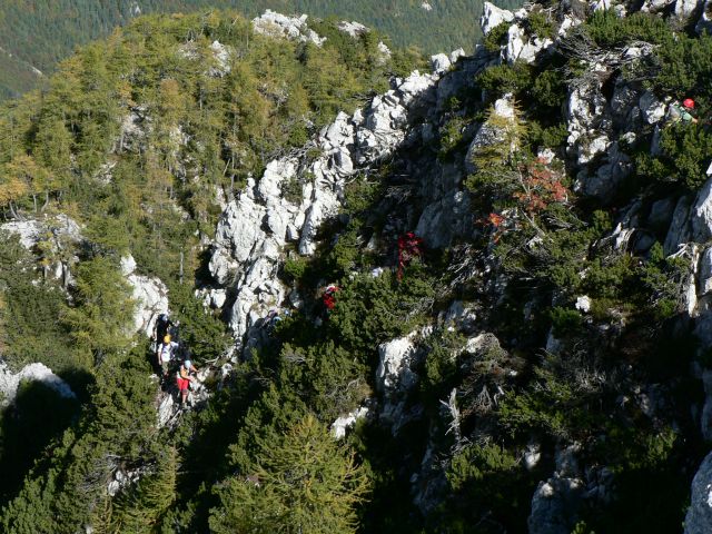 Požgana mlinarica - foto