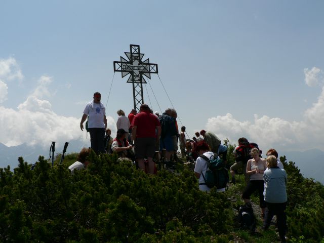 Pristovški storžič - foto