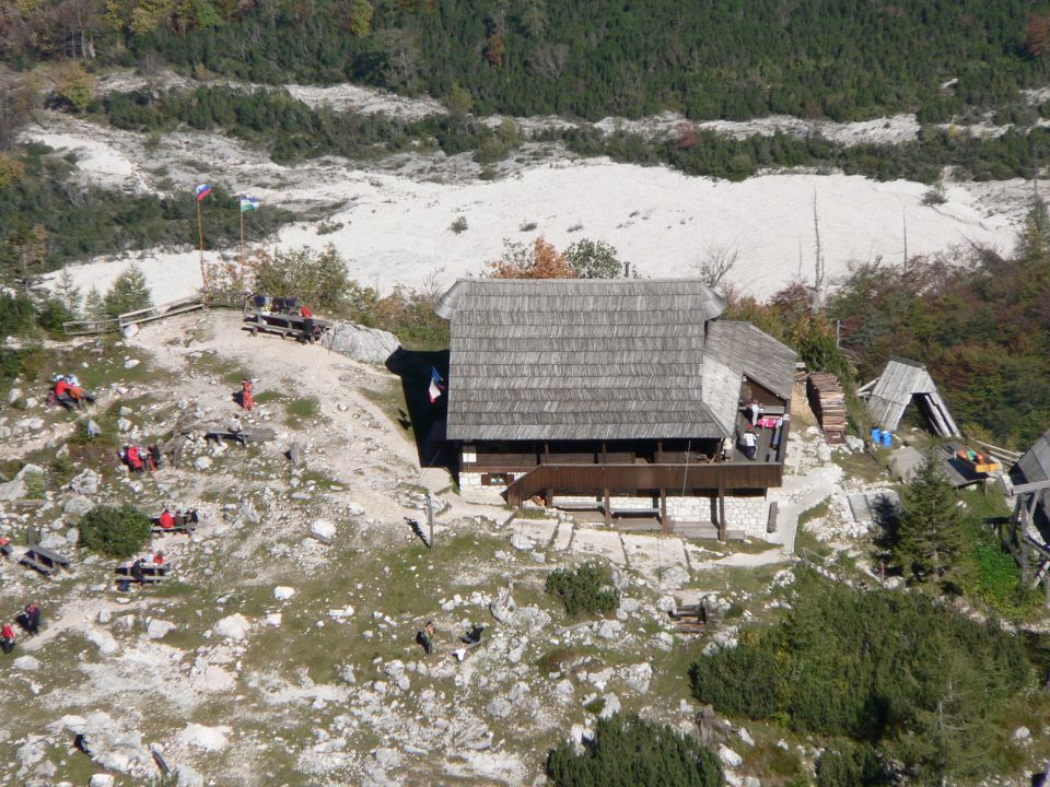 Skuta grintavec - foto povečava