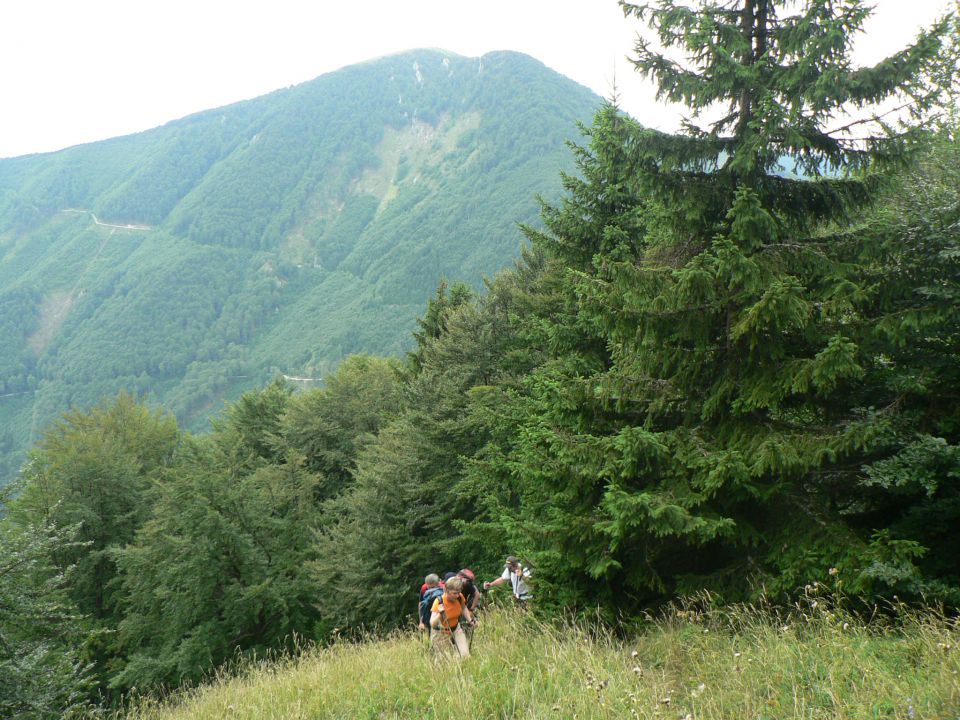 Bleguš - foto povečava