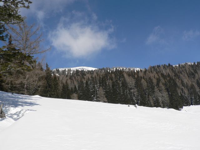 Raduha-svečka za blaža - foto