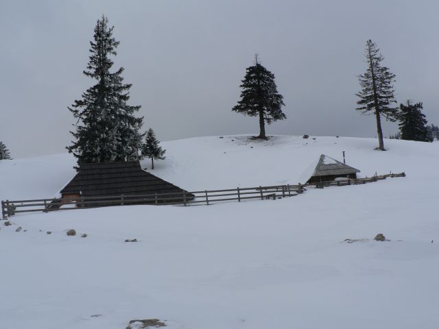 Velika planina - foto