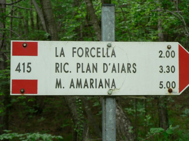 Amariana-23.5.2010 - foto