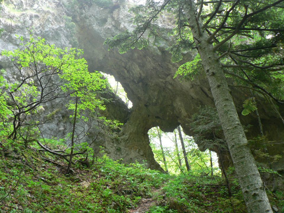 Zabrložnica-30.5.2010 - foto povečava