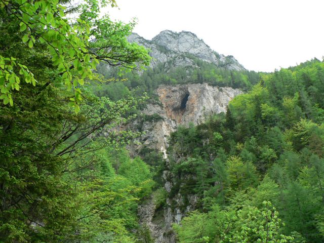 Zabrložnica-30.5.2010 - foto