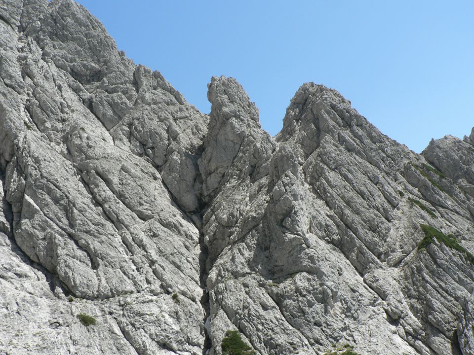 Zeleniške špice-12.6.2010 - foto povečava