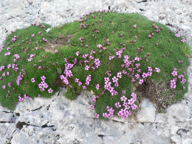 Savinjske alpe - foto