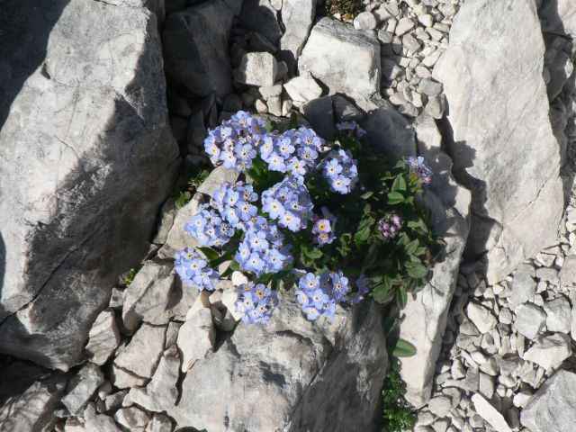 Savinjske alpe - foto