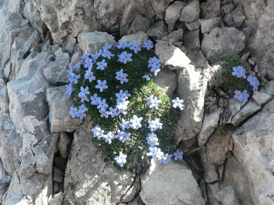 Savinjske alpe - foto povečava