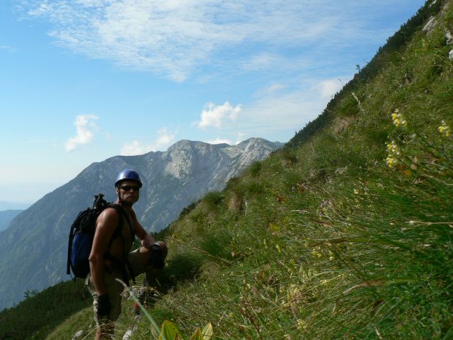 Gamsov skret - skuta- grintavec  -avgust - foto